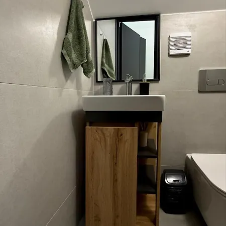 Savanna Mountain Forest *