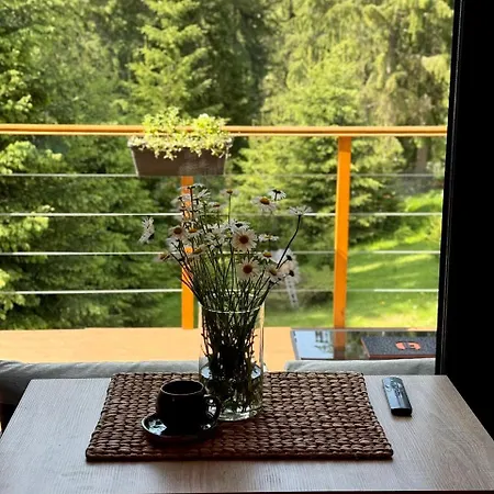 Savanna Mountain Forest * Yablunytsya