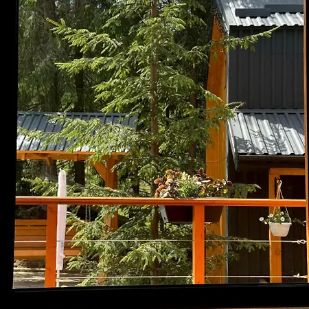 Savanna Mountain Forest