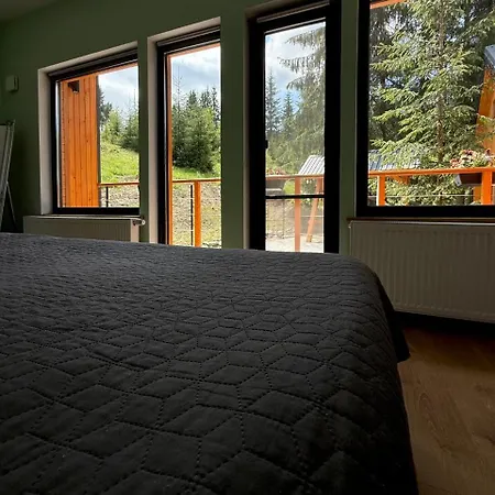 Savanna Mountain Forest