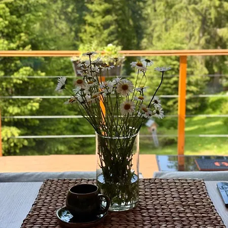 Savanna Mountain Forest Holiday park