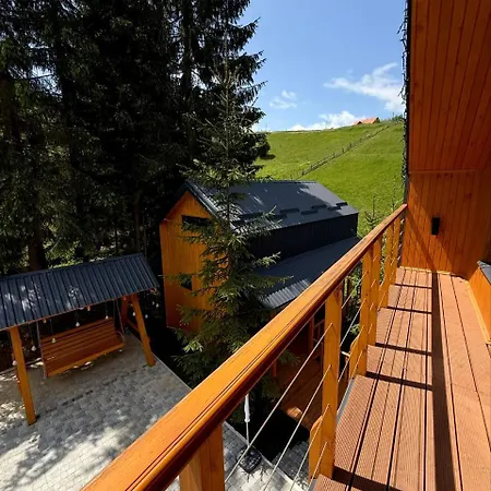 Savanna Mountain Forest