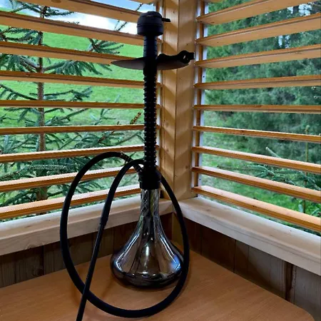 Savanna Mountain Forest Holiday park Yablunytsya