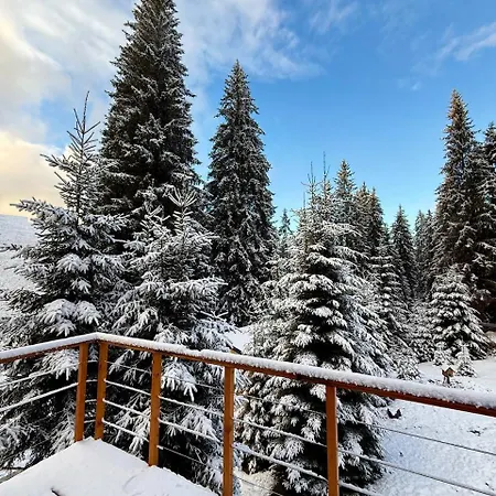 Savanna Mountain Forest Üdülőpark