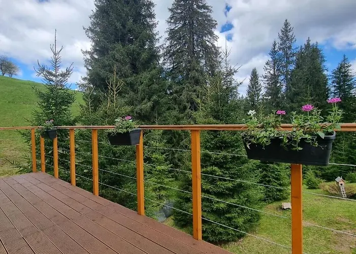 Savanna Mountain Forest Üdülőpark *