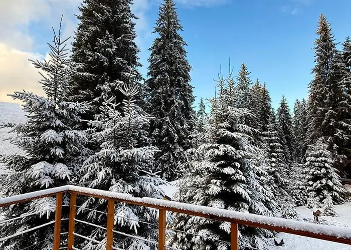 Savanna Mountain Forest Πάρκο διακοπών